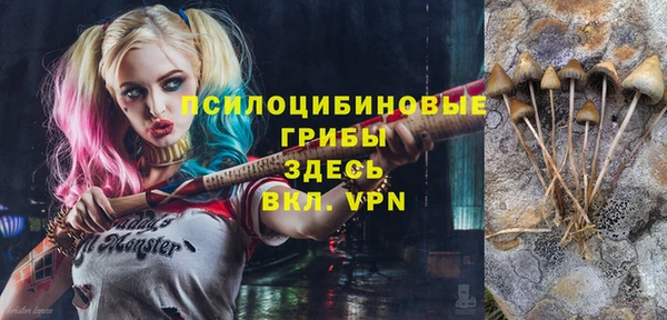 стаф Белоозёрский
