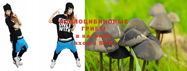 MDMA Белокуриха