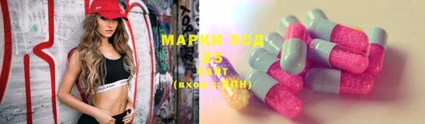 стаф Белоозёрский