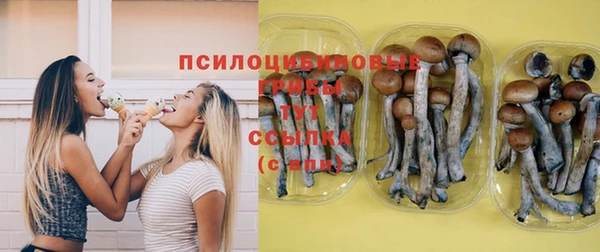 2c-b Беломорск