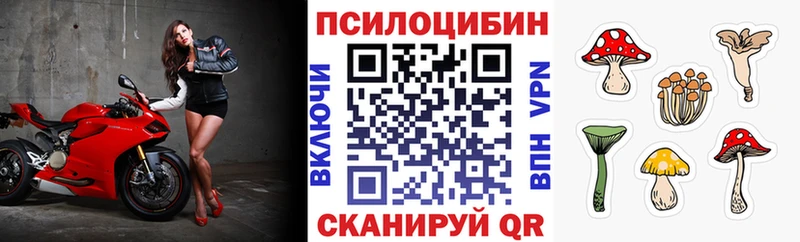 цена   Красный Холм  Псилоцибиновые грибы Cubensis 